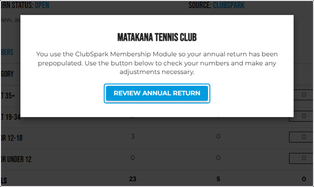 Click on REVIEW ANNUAL RETURN