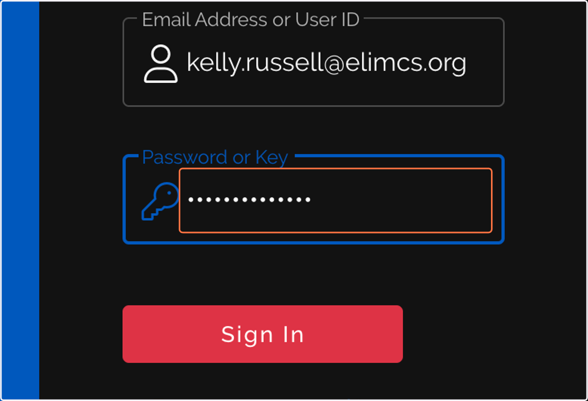 Type password